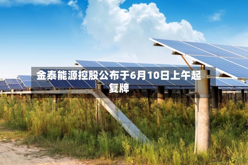 金泰能源控股公布于6月10日上午起复牌-第2张图片