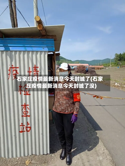 石家庄疫情最新消息今天封城了(石家庄疫情最新消息今天封城了没)-第2张图片