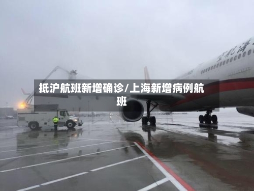 抵沪航班新增确诊/上海新增病例航班-第2张图片