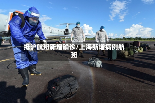 抵沪航班新增确诊/上海新增病例航班-第3张图片