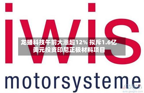 龙蟠科技午前大涨超12% 拟斥1.6亿美元投资印尼正极材料项目