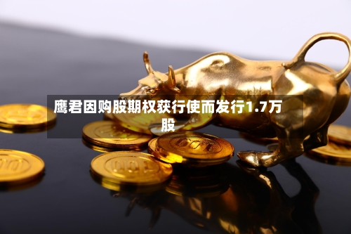 鹰君因购股期权获行使而发行1.7万股
