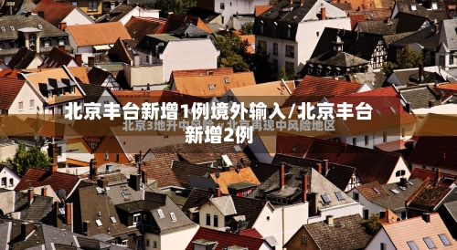 北京丰台新增1例境外输入/北京丰台新增2例-第2张图片