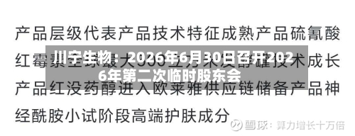 川宁生物：2026年6月30日召开2026年第二次临时股东会