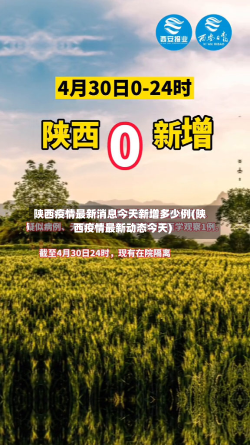 陕西疫情最新消息今天新增多少例(陕西疫情最新动态今天)-第3张图片