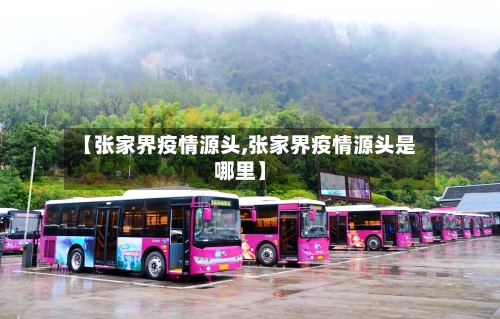 【张家界疫情源头,张家界疫情源头是哪里】-第3张图片