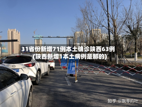 31省份新增71例本土确诊陕西63例(陕西新增1本土病例是那的)-第2张图片