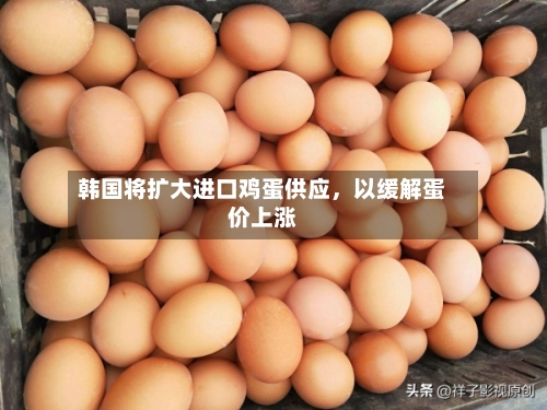 韩国将扩大进口鸡蛋供应，以缓解蛋价上涨