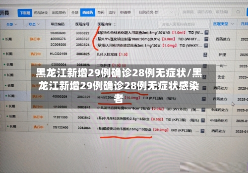 黑龙江新增29例确诊28例无症状/黑龙江新增29例确诊28例无症状感染者