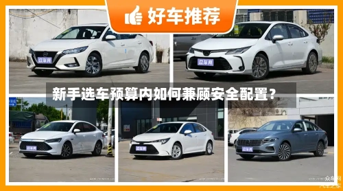 新手选车预算内如何兼顾安全配置？-第2张图片