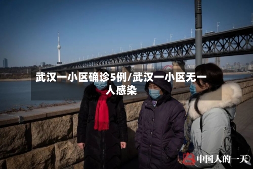武汉一小区确诊5例/武汉一小区无一人感染-第2张图片