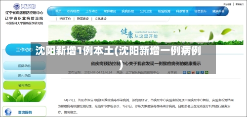 沈阳新增1例本土(沈阳新增一例病例)-第3张图片