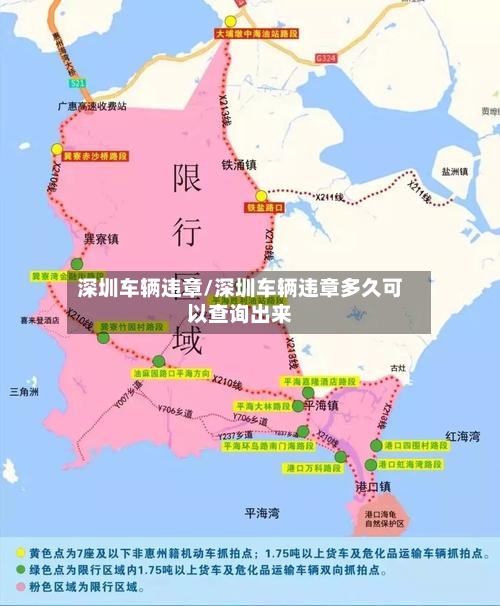 深圳车辆违章/深圳车辆违章多久可以查询出来-第3张图片