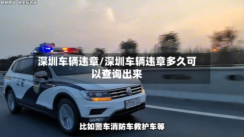 深圳车辆违章/深圳车辆违章多久可以查询出来-第2张图片