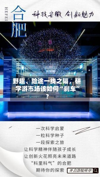 野趣、险途一线之隔	，研学游市场该如何“刹车”？-第2张图片