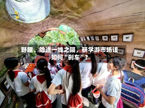 野趣、险途一线之隔，研学游市场该如何“刹车”？