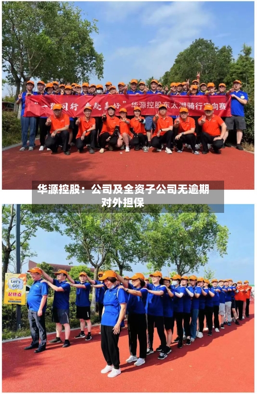 华源控股:公司及全资子公司无逾期对外担保-第2张图片