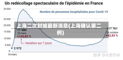 上海二次封城最新消息(上海确认第二例)-第2张图片