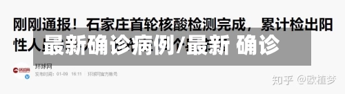 最新确诊病例/最新 确诊-第2张图片